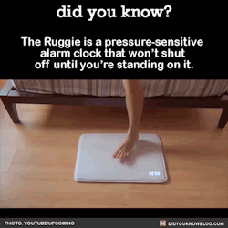 threefeline:  did-you-kno:  The Ruggie is