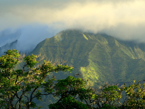 cp50mm: cloudrise // hanalei bay, kauai, hi follow for more similar posts ;)