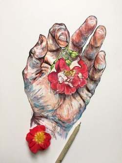 noelbadgespugh:  rose hands