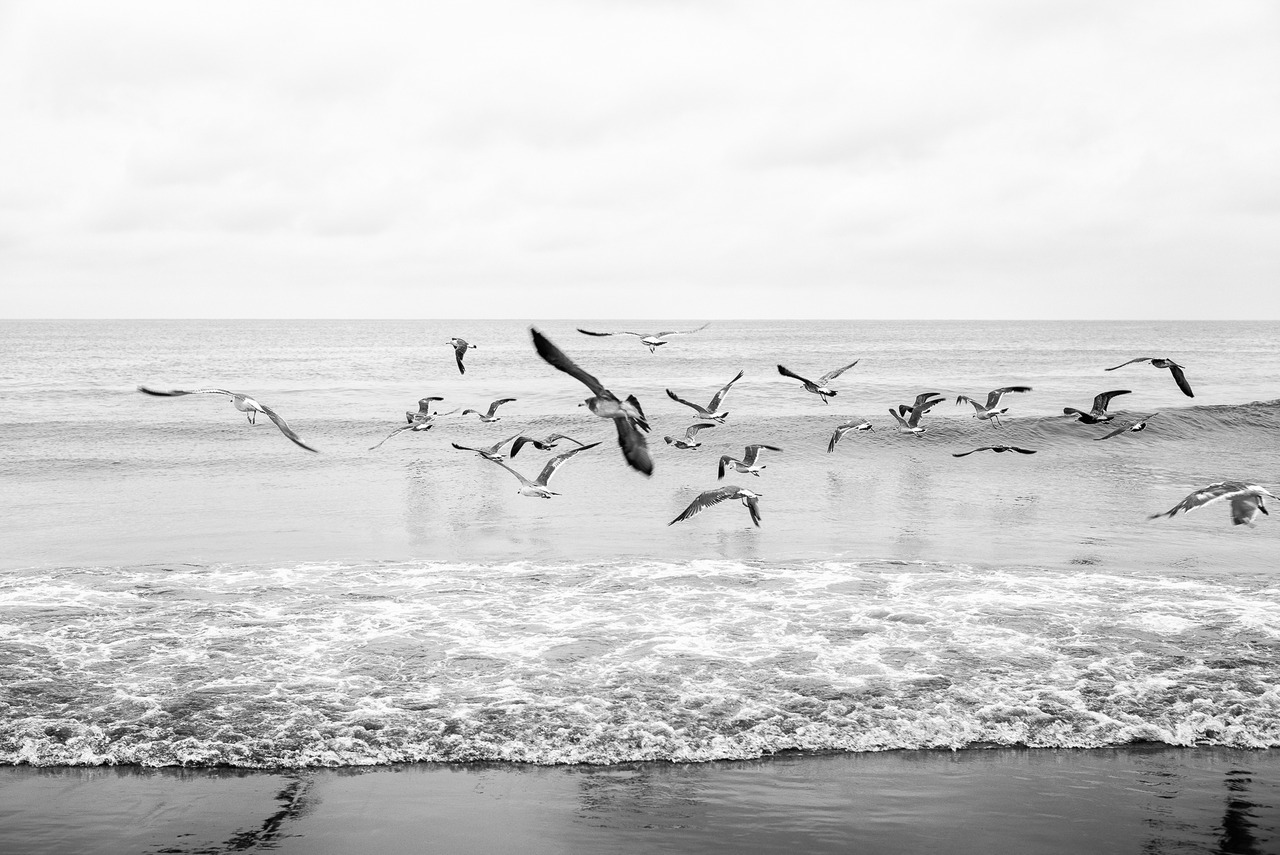 shinjiaratani:©shinji aratani