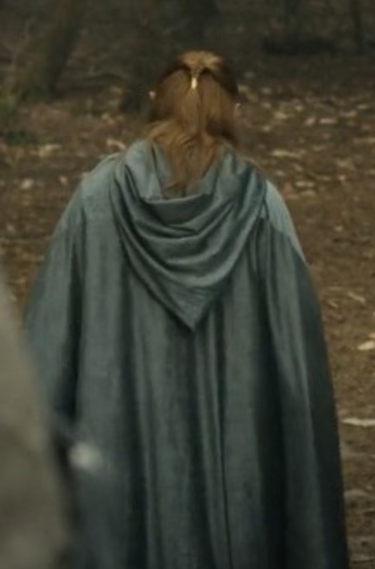 Vorohil Took Out His Decorative Hair Clasp For War, Very "hold My Flower Honey" Energy From Him 