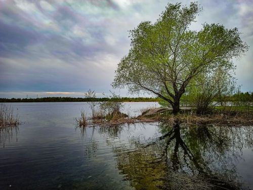 Озеро #nature #spring #clouds #beautiful #russia #green #sky #springmood #nizhnynovgorod #springday 