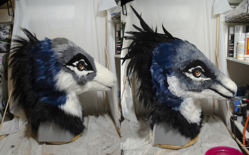  A commissioned mask - a fantastical raptor design belonging to @LimeyPie on twitter! Definitely one