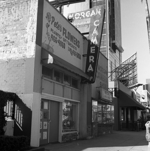 Morgan CameraCalifornia Abandoned WestHasselblad 500c/mKodak Tmax 400iso