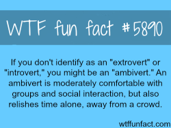 wtf-fun-factss:  If you are not an “extrovert”