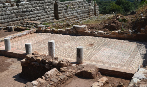 greek-museums: Ancient Messene / A Roman residence: Mosaics from a Roman residence. The residence i