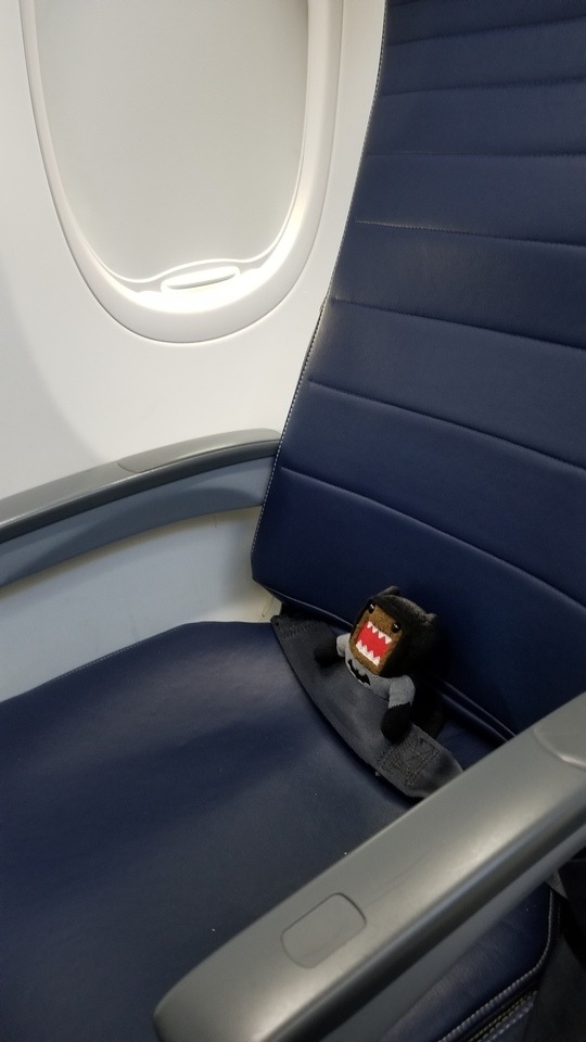 Safety First, Domo Batman. 