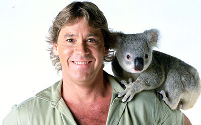 one-mandrinkinggamess: Do you ever just stop and think: “I really miss Steve Irwin” &nbs