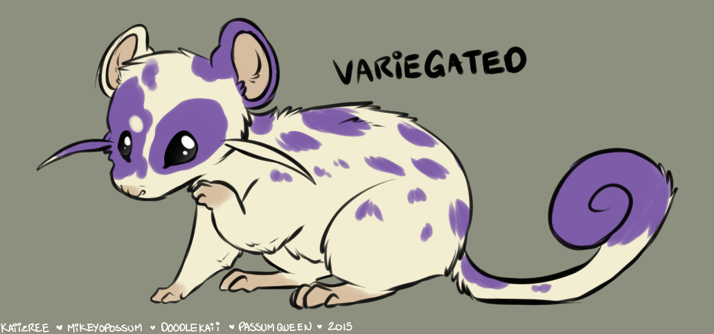 doodlekaii:  Rattata Variations! I hope they havent been done yet…I may expand