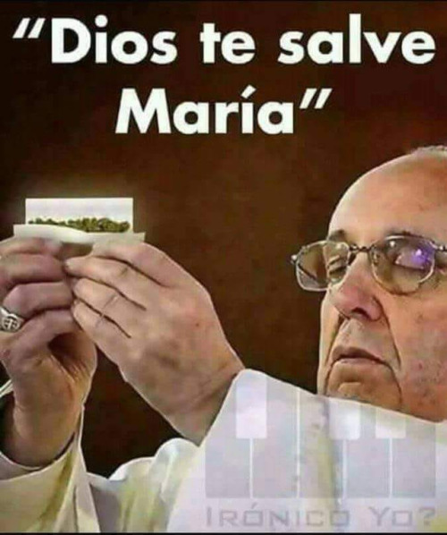 Sofea-00