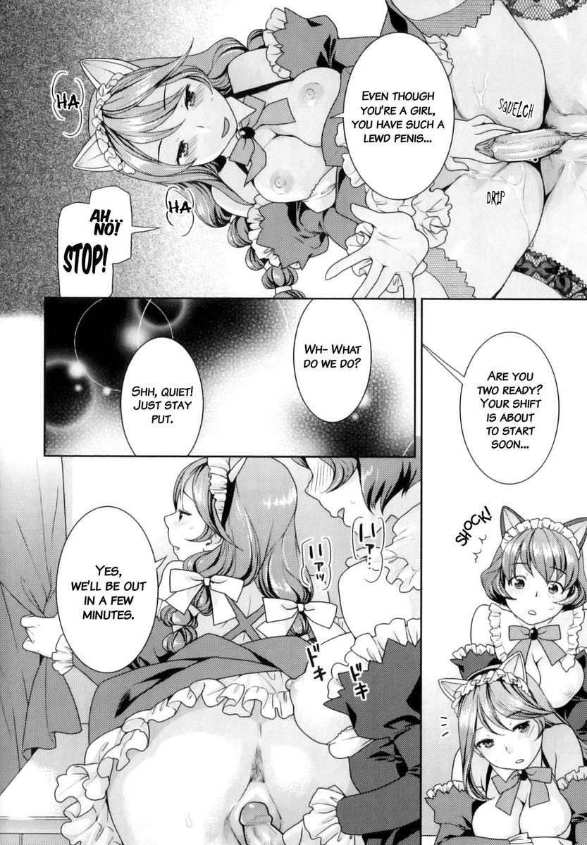 doujinlibrary:  Futanari Relations chapter 11