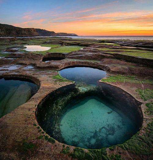 pxx812: Royal National Park, New South Wales, Sydney, Australia