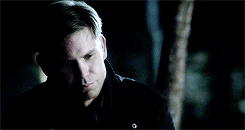 styleslouis:  TVD meme ► [1/10] Scenes∟ “They’re floating lanterns in the sky, can you believe that?