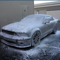 chemicalguys:  Here’s my Shelby GT500 all soaped up with the Chemical Guys  foam cannon and suds.#ford #mustang #americanicon #Detailersofinstagram #FoamCannon #Chemicalguys