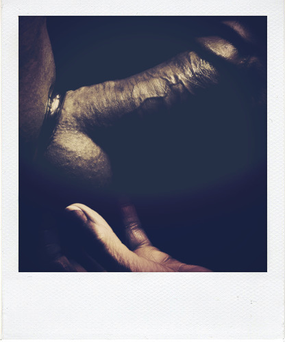 Perfect Polaroid Porn