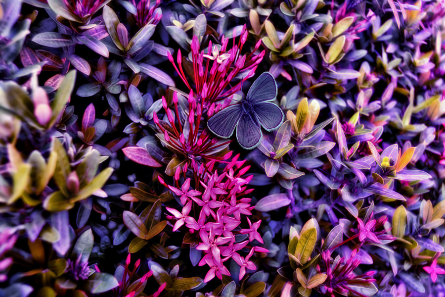 morethanphotography:Spring is coming by yara-gb