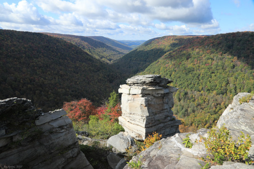 Above is a sampling of the fall colors from this past weekend at Blackwater Canyon. Due to the extre