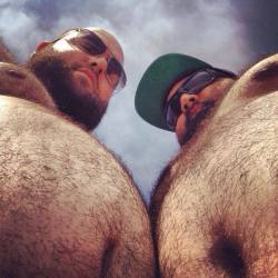 bearso:  More bears?,Follow me! ↘BEARSO! 