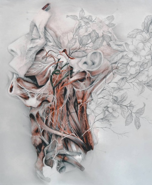 themedicalstate:Your voice, between nerves and thorns- Art by Nunzio Paci