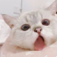 iamnotexistblr