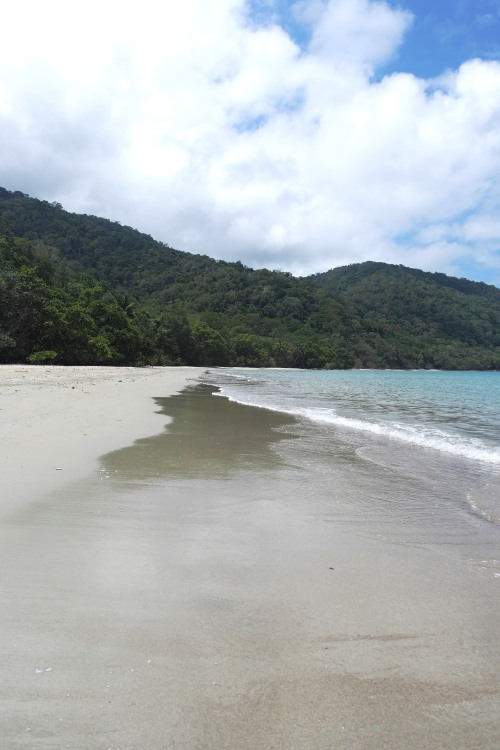 sublim-ature:  Cape Tribulation, Queensland, AustraliaMax Slender