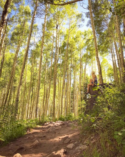 AspensMaroon Bells, Colorado, June 2018I love Aspens! © Michelle Gefre | Trail the Sun*DO 