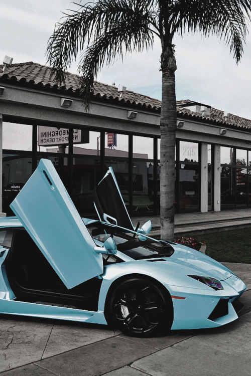 motivationsforlife: Iced Aventador by Spencer Berke @azearr x @motivationsforlife editing collaborat