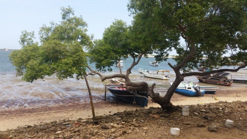 Africa.  Kenya. Lamu Island. 2019.