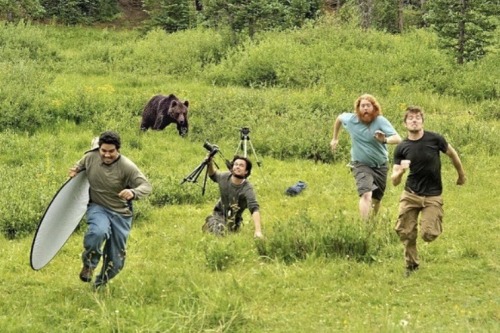 Wildlife Photographers Interrupted By Animals 