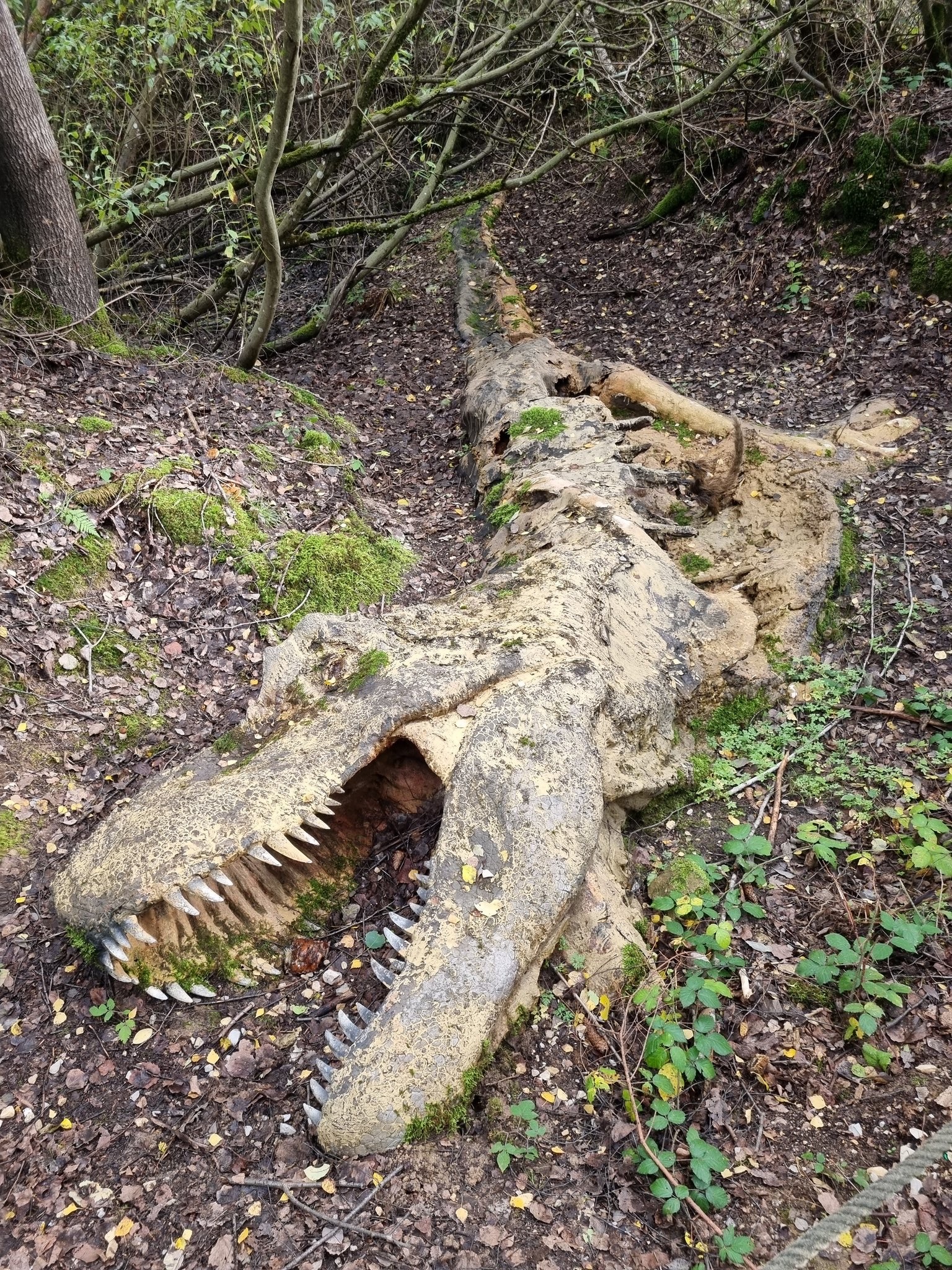 Porn lionfloss:Model of a decomposing Tyrannosaurus photos