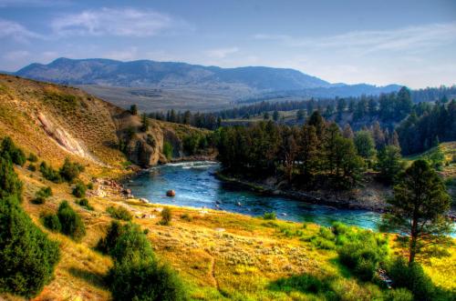 #yellowstone