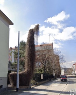 Porn zegalba:a street light in Wroclaw, Poland. photos