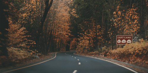 scfi:Yosemite in the fall