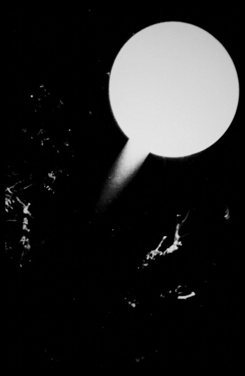 haplologic:  further abstractions on 35mm film photography, 2015  Richard Auxilio ©Auxiliofaux2012   silver gelatin print  