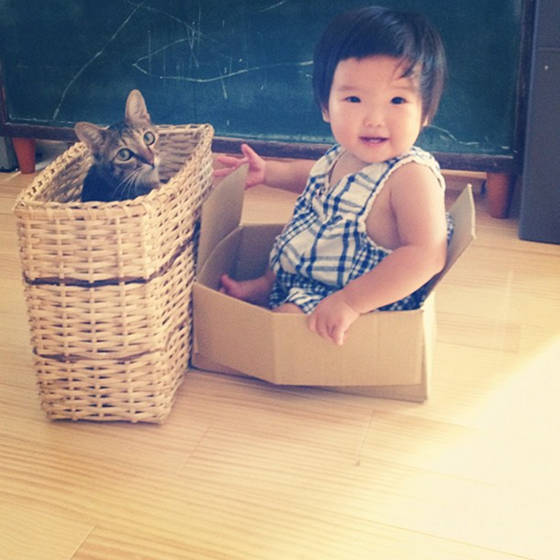 zambiunicorn:  sasaq:  Toco The Cat And His Human: Growing Up Together  I cried 