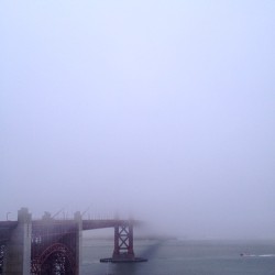 The view of the Golden Gate Bridge last night. (at Golden Gate Overlook)