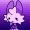 ddnikki: