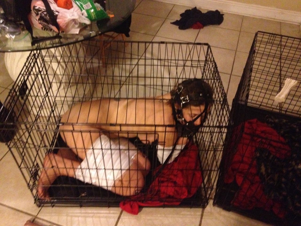 masterandpup-pet: some photos from pet play time. she really enjoys being degraded