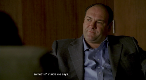 whatriverrunsdeeperthanthis:tony soprano reluctantly said gay RIGHTS