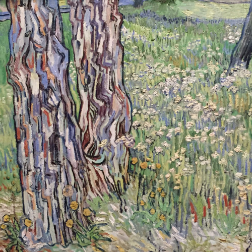 apgujeon: van gogh and the seasons » national gallery of victoria 