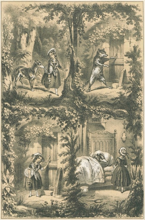 Les Fées.Historiettes naïves et enfantines racontées par Charles Perrault.Lithographies artistiques 