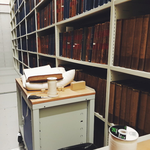 acoydutchstudent:19.04.2018 | some surface cleaning at the library annexe