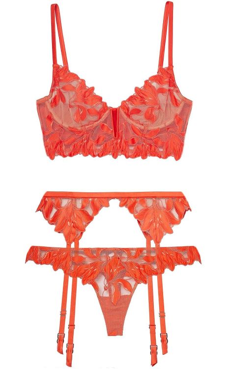 Martysimone:  Fleur Du Mal | Lily Embroidery •   Longline Bra Set In Clementine