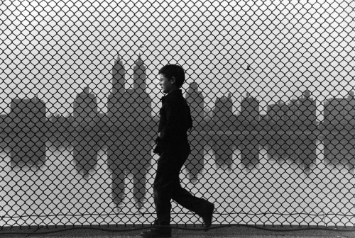 joeinct:Boy and Fence, Central Park, Photo by Ruth Orkin, 1965
