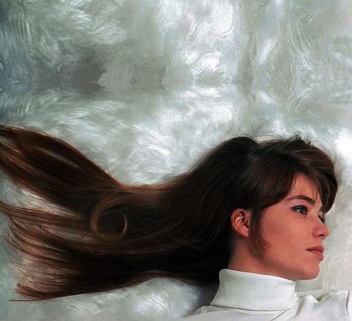 Porn photo toonarmyist:  Francoise Hardy - Jean Marie