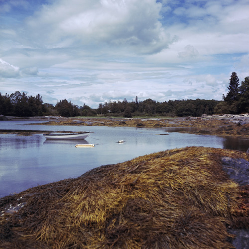 Maine, 2019