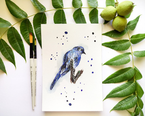 Blue Watercolor Bird //Zaiguu