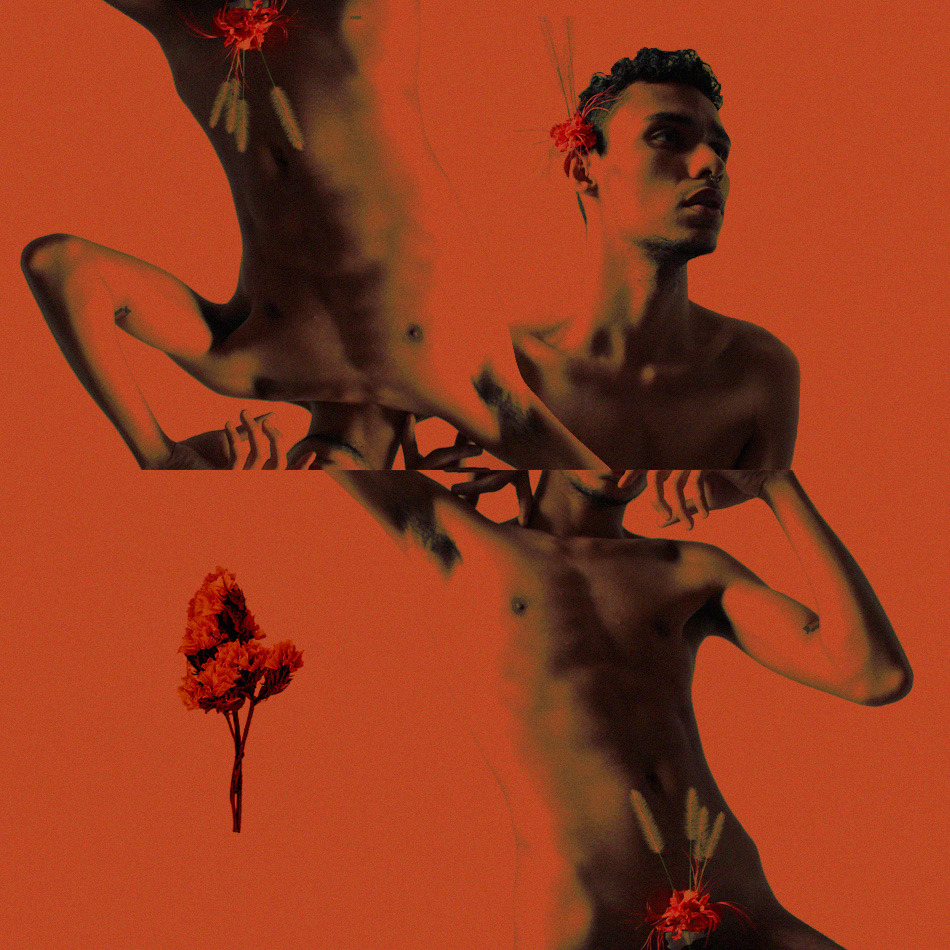 byhenriquebinatto:    “dead birds, dead warriors, blood is thicker than water”