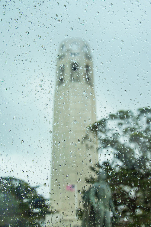 Coit Tower in the Rain Photo by Mina Seville