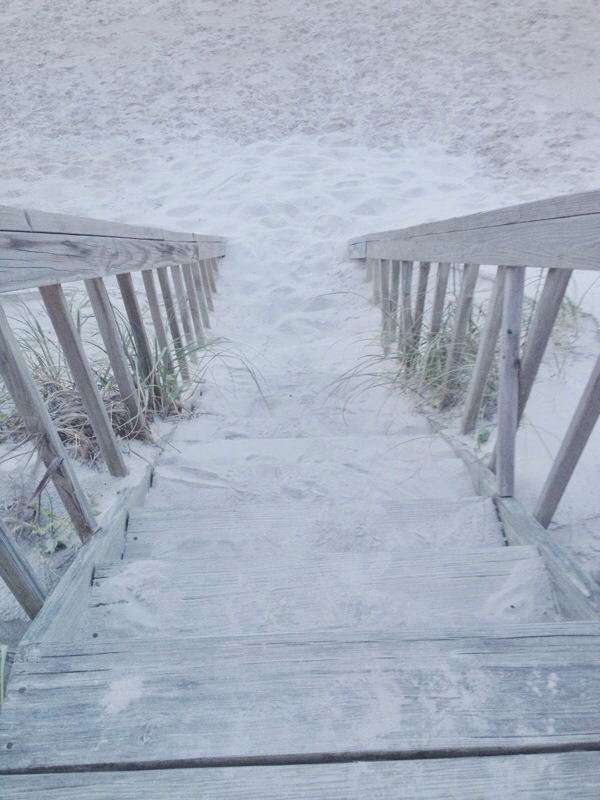rnonaco:  pale beach aesthetic 